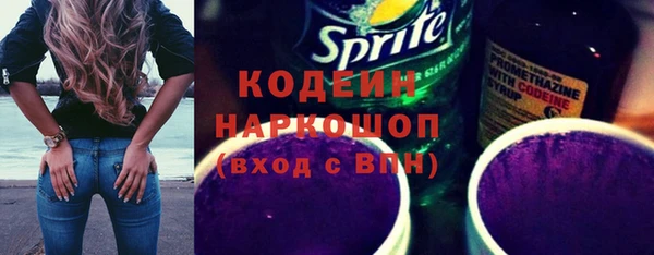 твердый Гусев