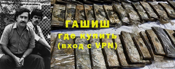 гашик Дмитровск