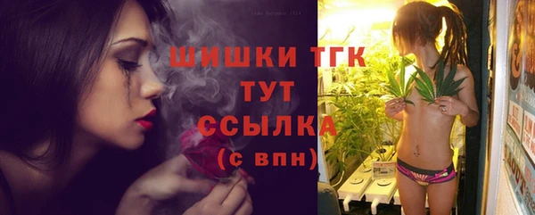 твердый Гусев