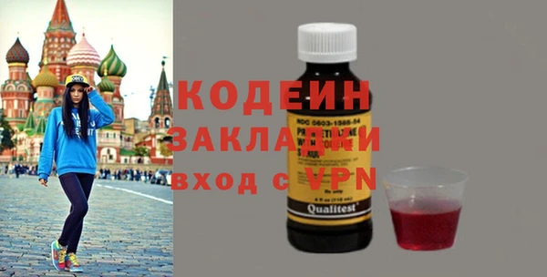 твердый Гусев