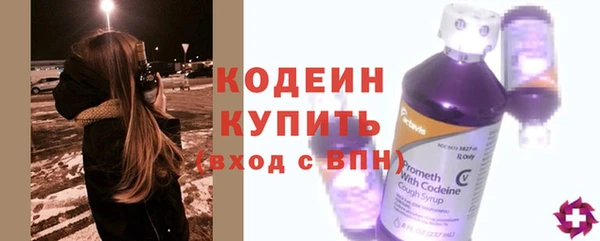 твердый Гусев