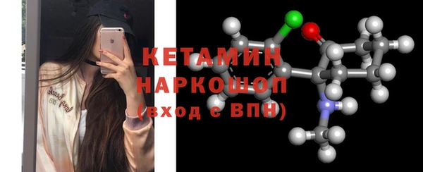 твердый Гусев