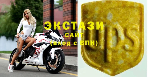 твердый Гусев