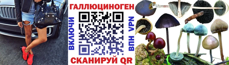 hydra зеркало  Дзержинский  Галлюциногенные грибы MAGIC MUSHROOMS 